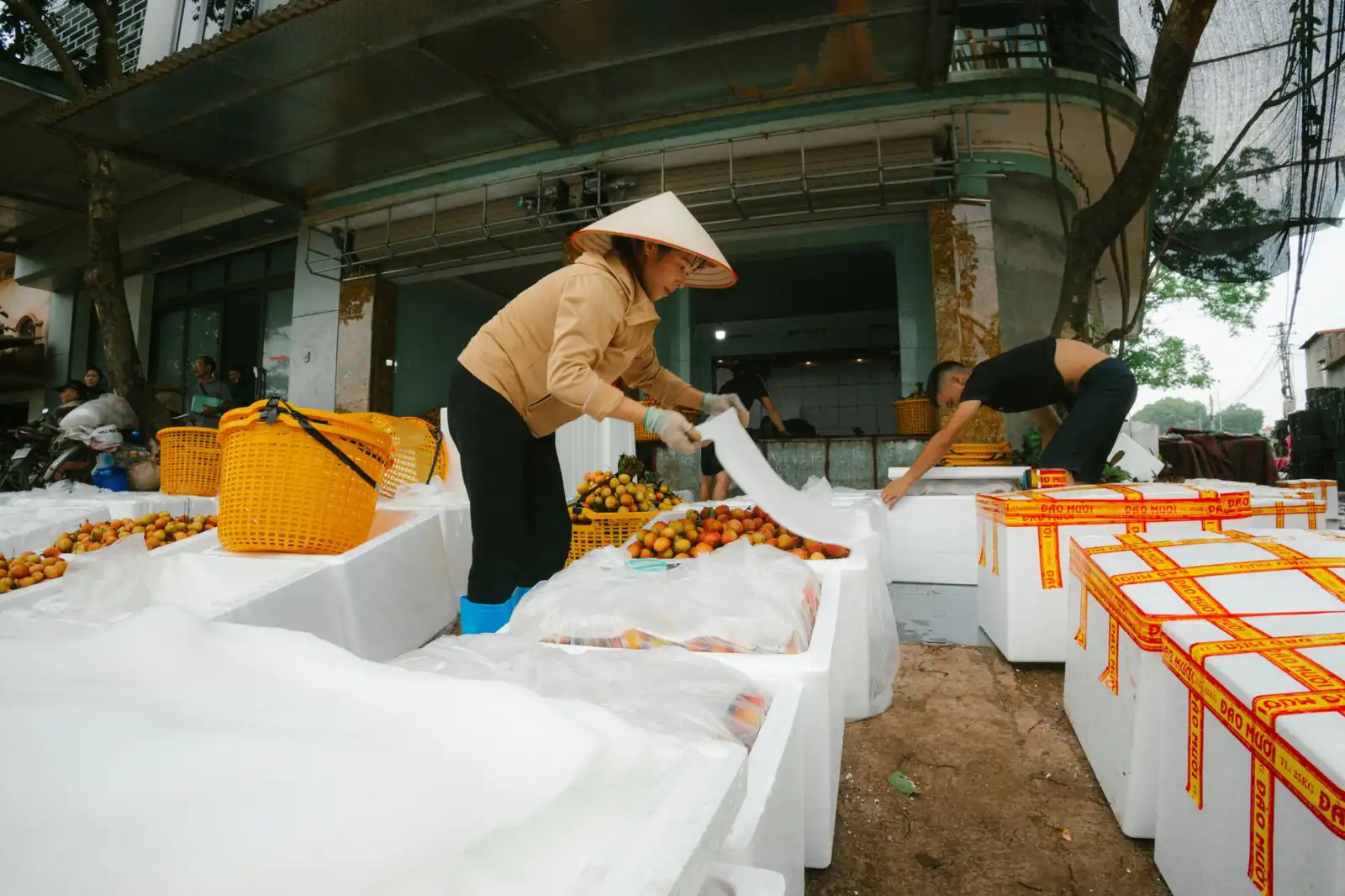 重庆企业节日水果礼盒装选购指南：从产地直采到新鲜配送全解析