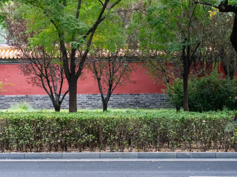 2024年应季水果产地直采供应链优化方案解析