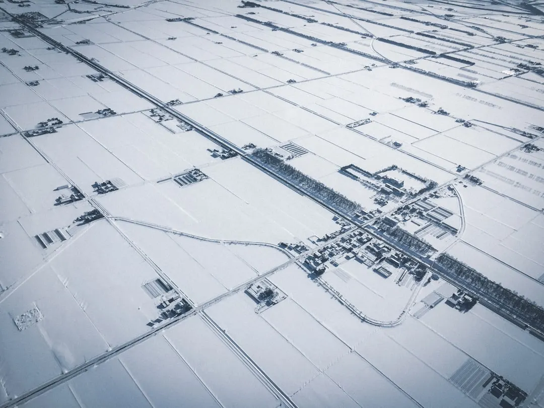 新鲜水果产地直采模式在重庆企业生鲜供应中的技术优势解析