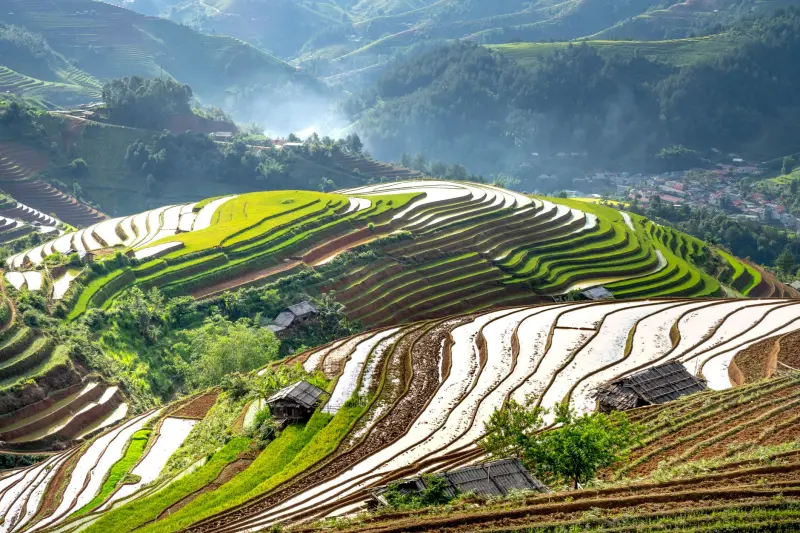 重庆地区应季水果产地直采供应链优化策略分析